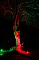 grün-roter Baum